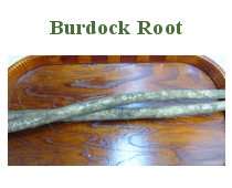 Burdock Root