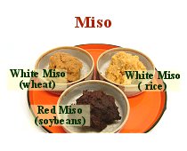 Miso
