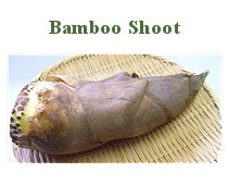 Bamboo Shoot