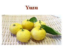 Yuzu