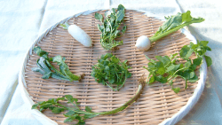 Seven Japanese herbs (nanakusa)