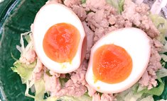 Tori-soboro to nitamago-don