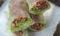 Hikiniku no wafū nama-harumaki